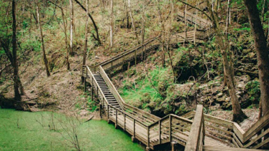 Devil's Millhopper Geological State Park