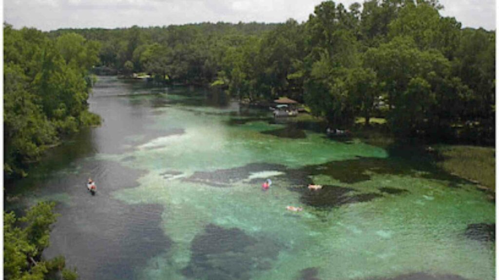 Rainbow River Canoe & Kayak