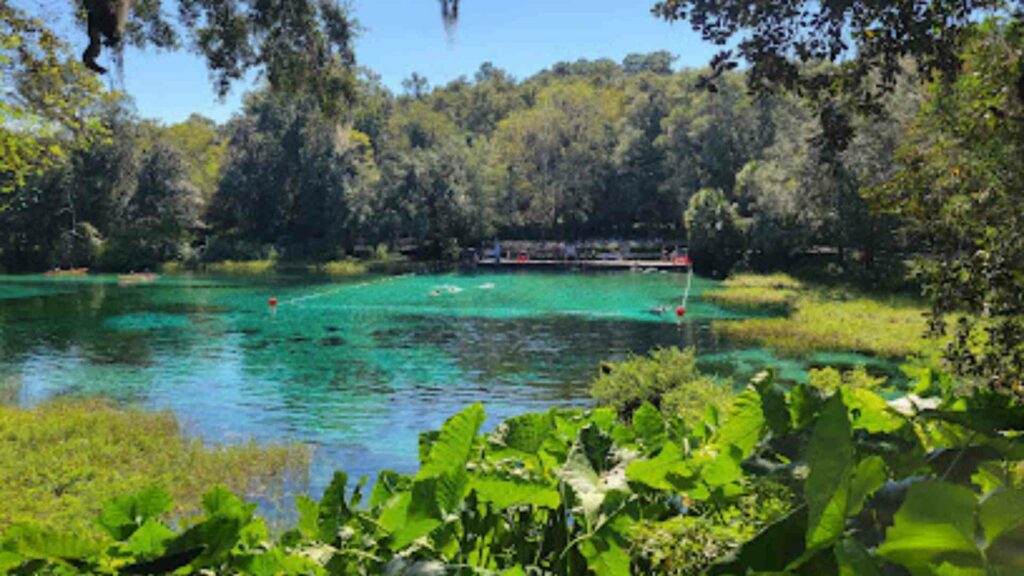 Rainbow Springs State Park