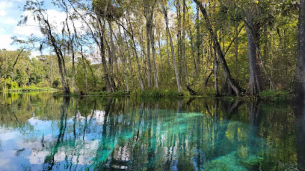 Silver Springs State Park