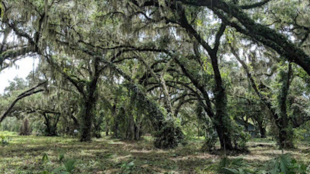 Sunnyhill Restoration Area