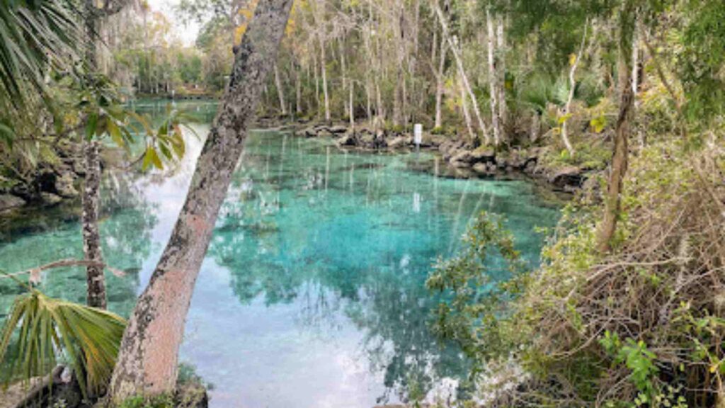 Three Sisters Springs